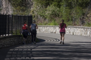 MG_2508-000-ridotta
