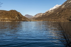 MG_0896-001-ridotta