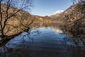 MG_0921-001