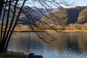 MG_0928-001