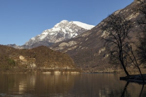 MG_0949-001