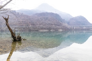 MG_0266-000-ridotta