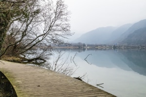 MG_0283-000-ridotta