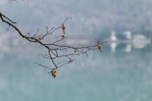 MG_0297-000-ridotta