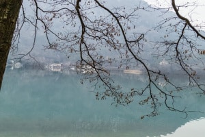 MG_0300-000-ridotta