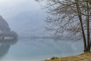 MG_0302-000-ridotta