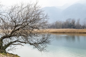 MG_0322-000-ridotta