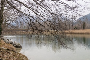 MG_9255-000-ridotta