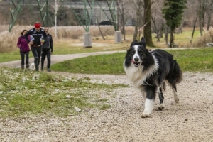 MG_9583-000-ridotta