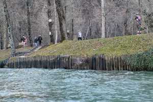 IMG-20241230-WA0009