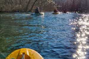 IMG-20241230-WA0013
