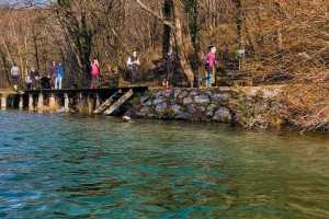 IMG-20241230-WA0016