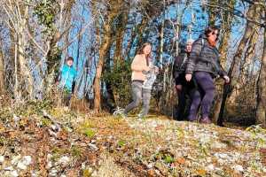 IMG-20241230-WA0020