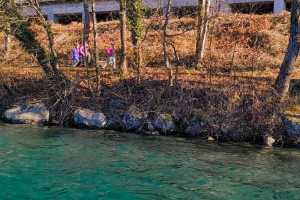 IMG-20241230-WA0025