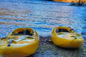 IMG-20241230-WA0031