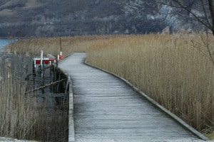 MG_6379-ridotta