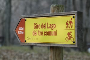 MG_6472-ridotta