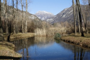 MG_6982-ridotta