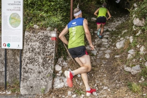 MG_4728-001-ridotta