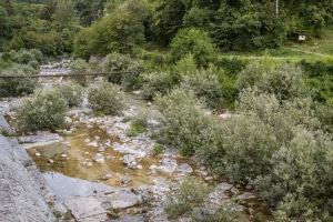 MG_4729-001-ridotta
