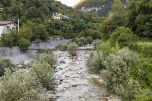 MG_4731-001-ridotta