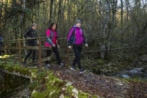 MG_7900-000-ridotta