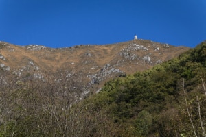 MG_8267-000-ridotta