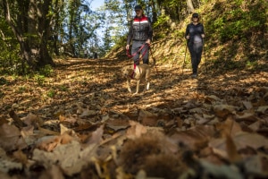 MG_8555-000-ridotta