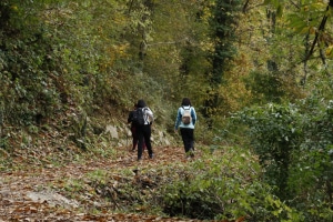 MG_9079-ridotta