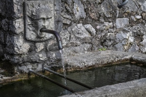 MG_1571000-ridotta