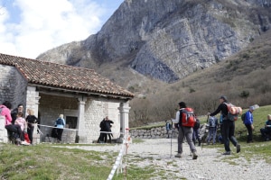 MG_157500-ridotta
