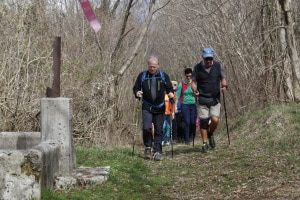 MG_163500-ridotta