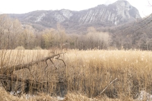 MG_1175-000-ridotta