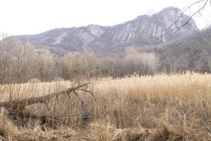 MG_1176-000-ridotta