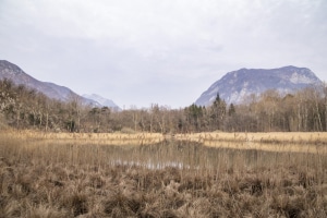 MG_1310-000-ridotta