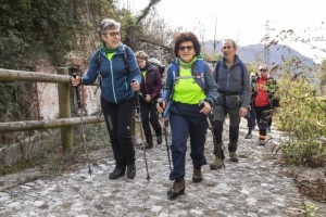 MG_1490-000-ridotta