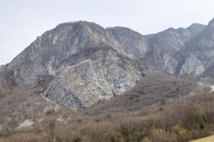MG_1709-000-ridotta