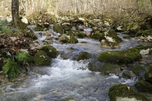 MG_0140-ridotta