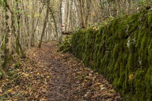 MG_0147-001-ridotta