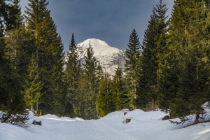 MG_0258-000