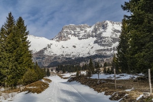 MG_0281-000