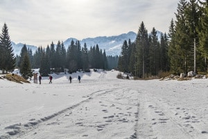 MG_0291-000