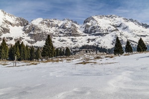 MG_0293-000
