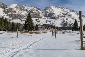 MG_0295-000