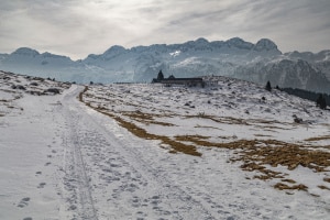 MG_0343-000