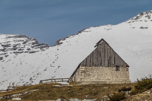 MG_0347-000