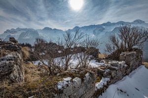MG_0387-000