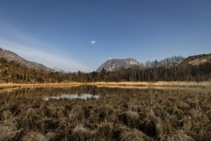 MG_1881-001-ridotta