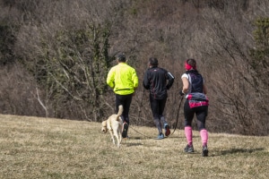 MG_2159-001-ridotta