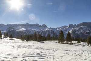 MG_1432-001